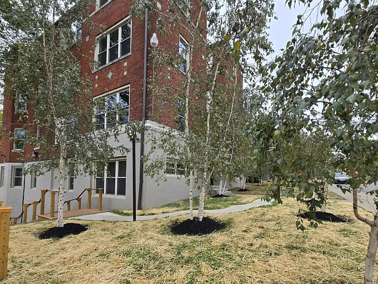 342 Forest Ave #C1 — Photo 31