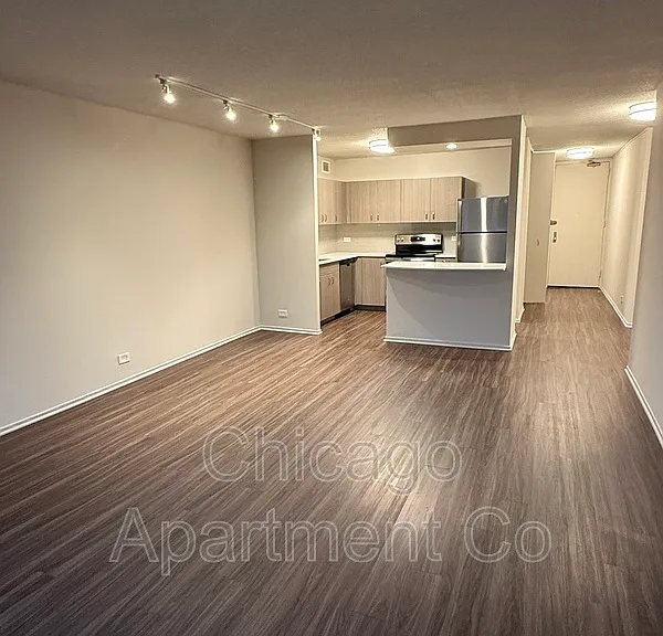 1154 N Dearborn St #510 — Photo 1