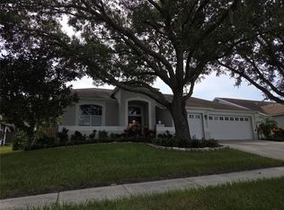 4511 Oak River Cir, Valrico, FL 33596