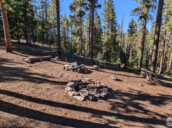 1152 Mosquito Dr, Red Feather Lakes, CO 80545