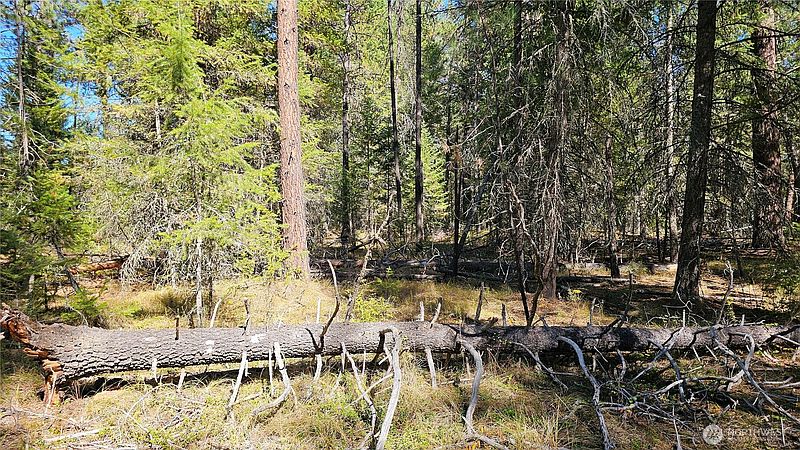 4th image of 385 X Agar Road