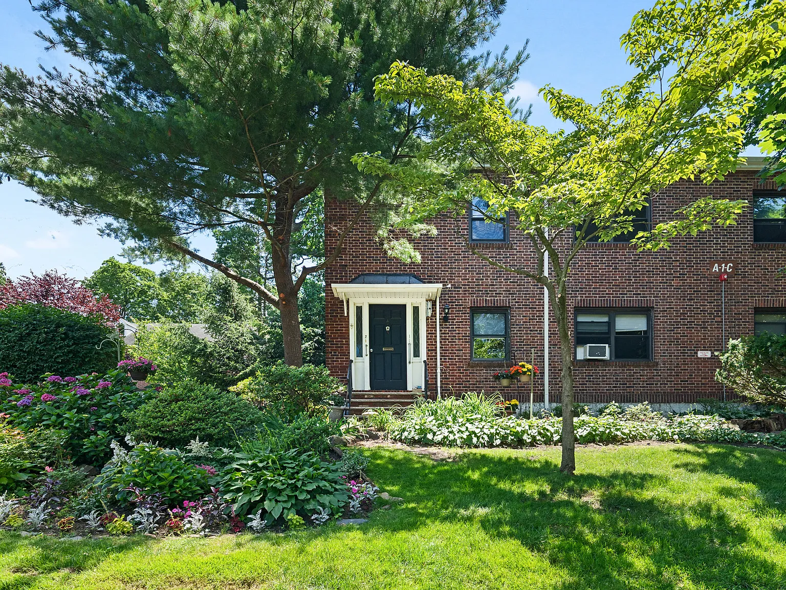 3 bed, $2,900 — Photo 1