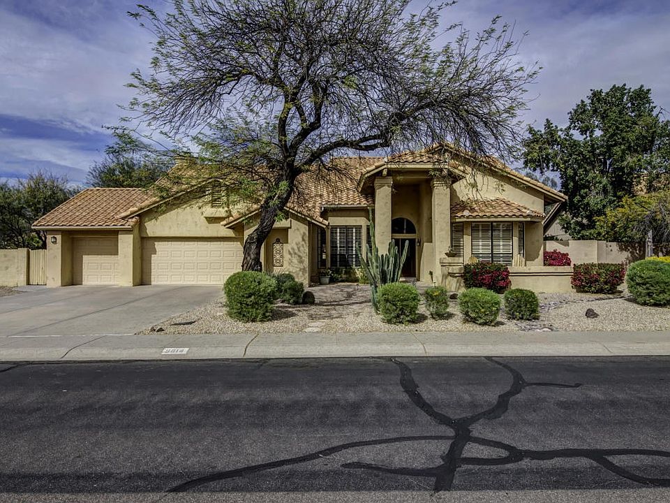 ForagentWindrose00019