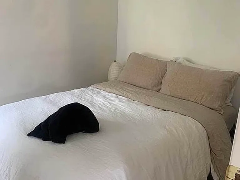 164 Mott St #1CS — Photo 3