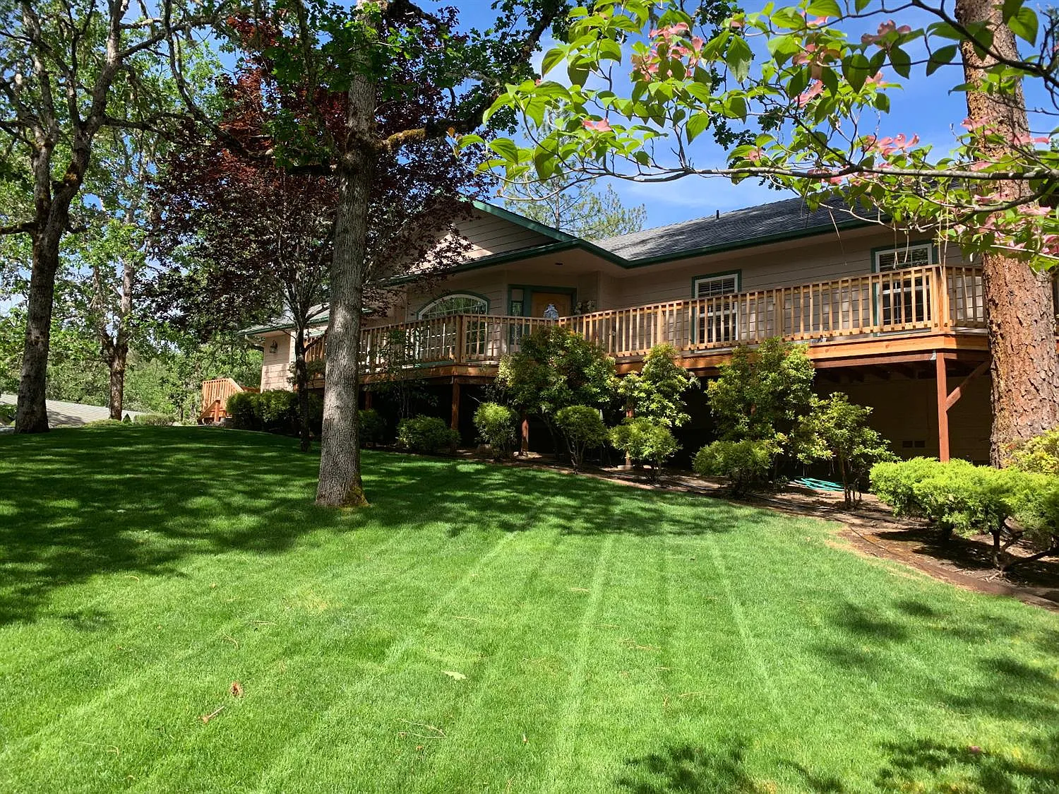 954 Jess Way photo 1