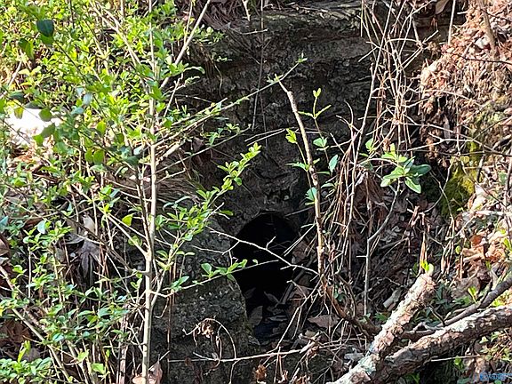 5th image of 1 & Point #Of-2