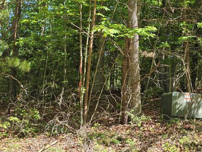 TRACT 4A Garland Ln, Young Harris, GA, 30582