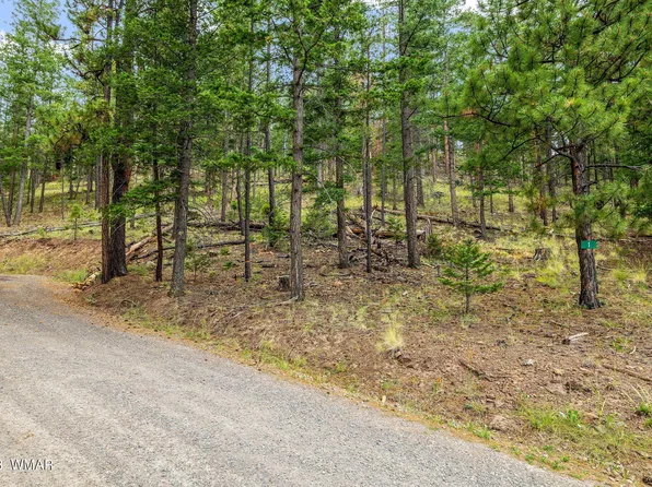17 County Rd #1068-lot 39, Greer, AZ 85927