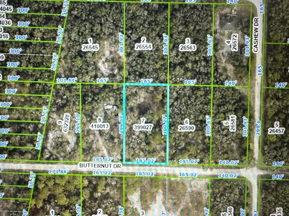 LOT 7 Butternut Dr, Webster, FL 33597