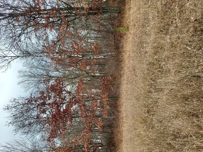 42646 Bulldozed Rd, Pine River, MN, 56474