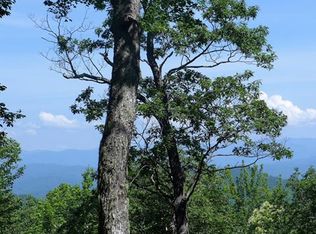Tract 45b Indian Camp Mountain Road Tract #45B, Rosman, NC 28772