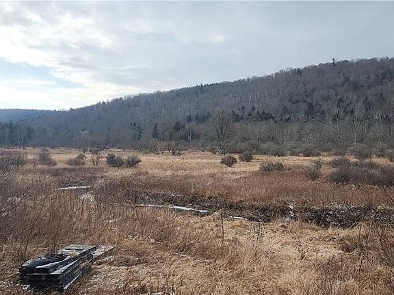 2nd image of 0 Halsey Valley Rd