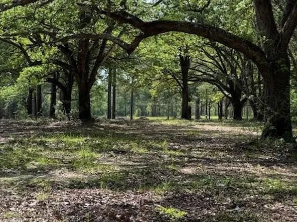 13421 Highway 25, Franklinton, LA 70438