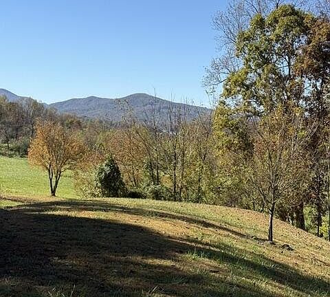 4th image of 117 Dewey Ridge Ln