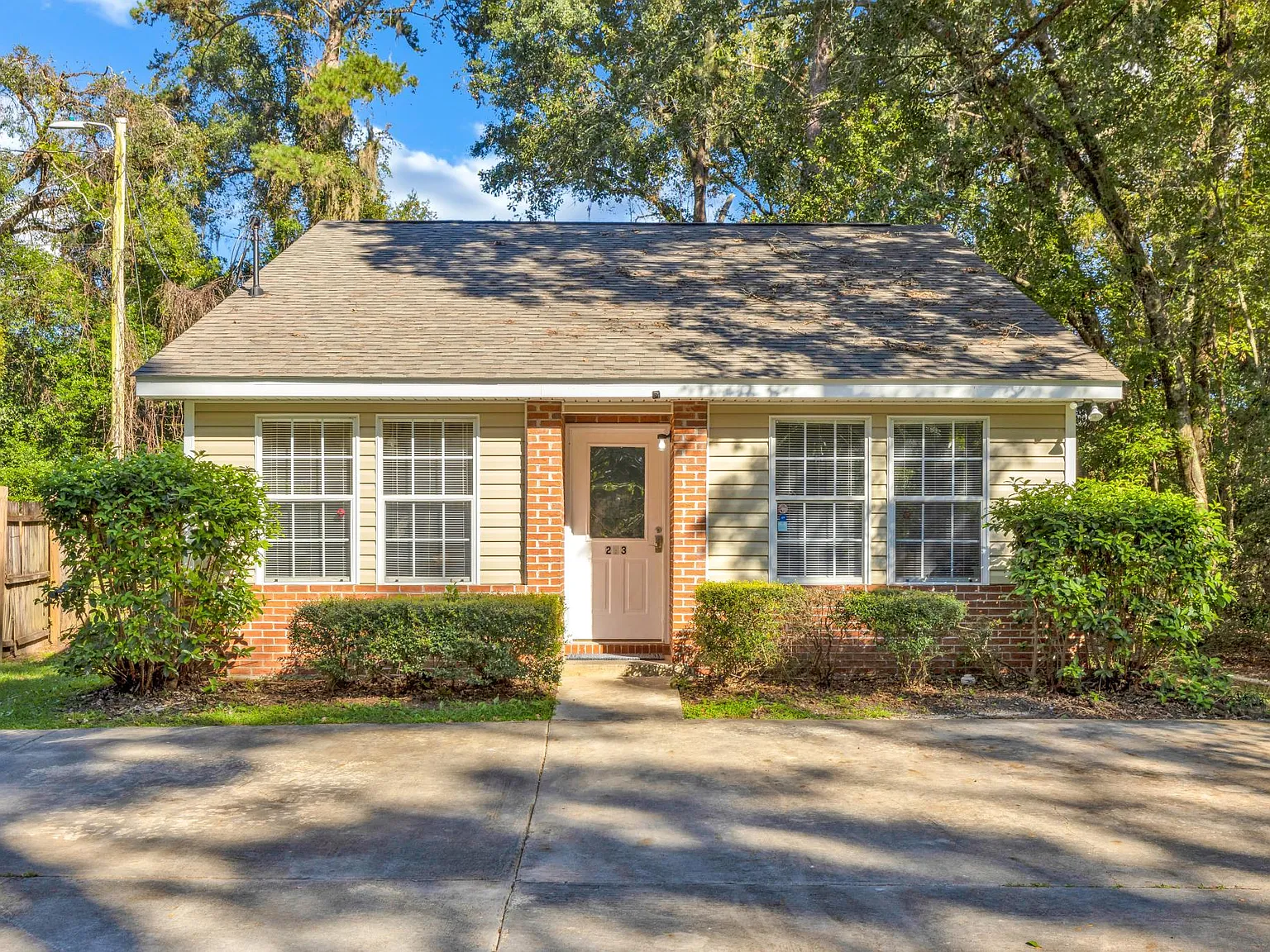 213 Cactus St — Photo 3