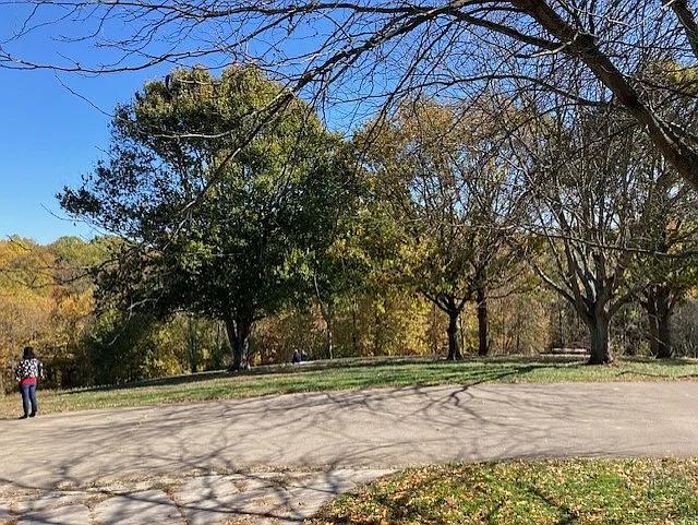 View of Path in Cherokee Park