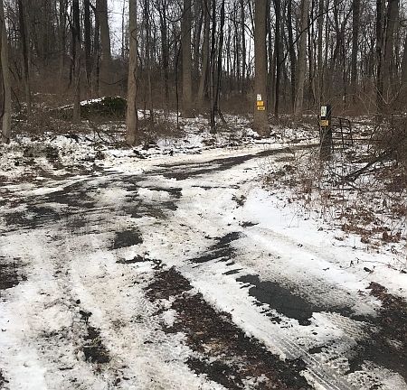5th image of 1669 Route 517