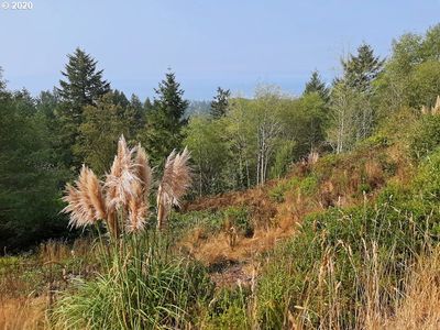 Pacific View Dr #8, Brookings, OR, 97415