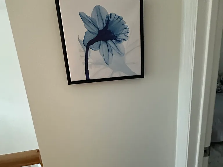 Faye Dr — Photo 16