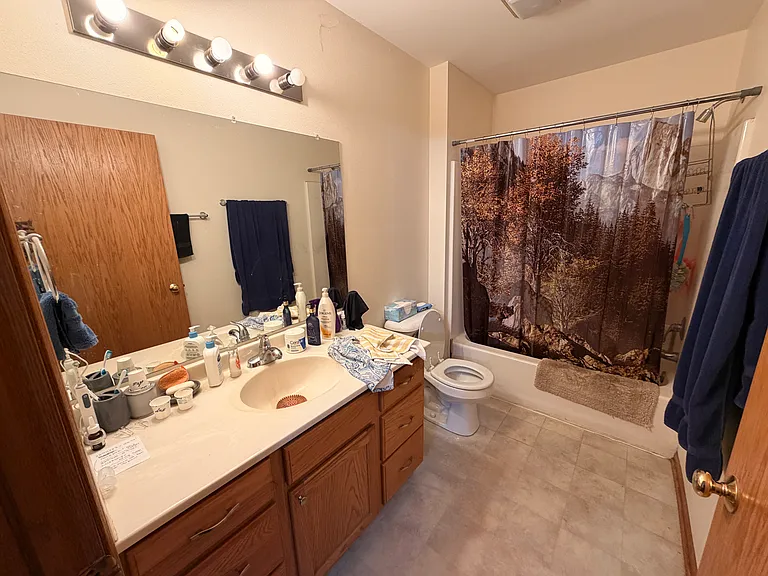 Master bathroom