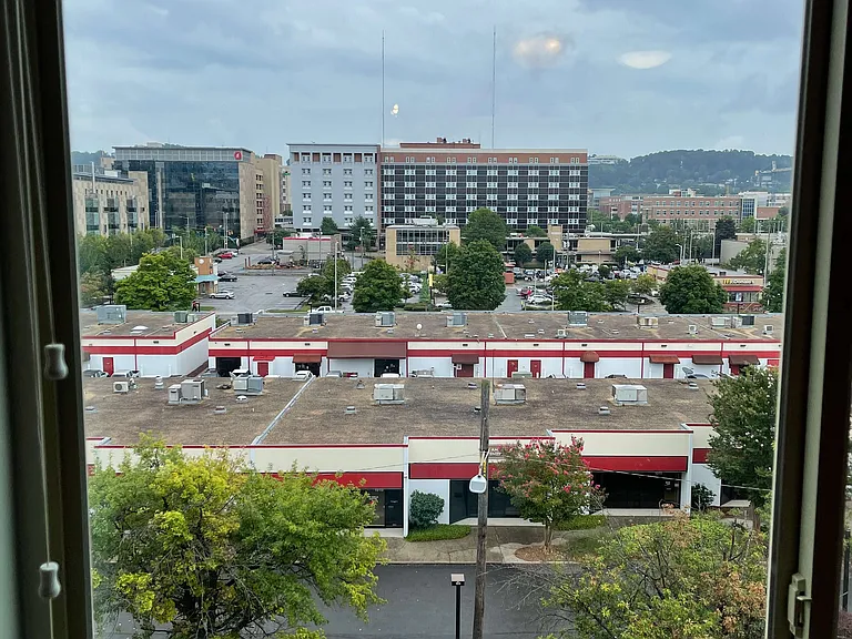 Downtown View