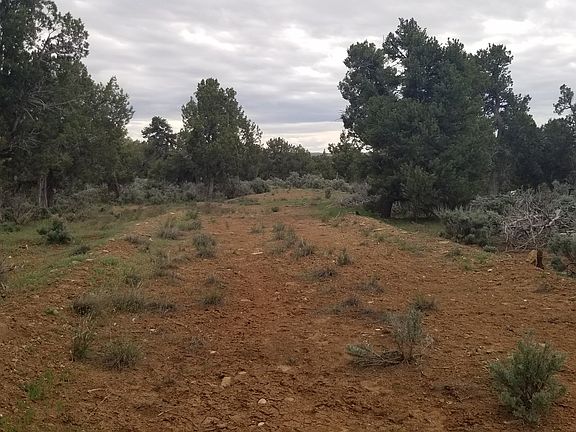 2nd image of 54385 Highway 491