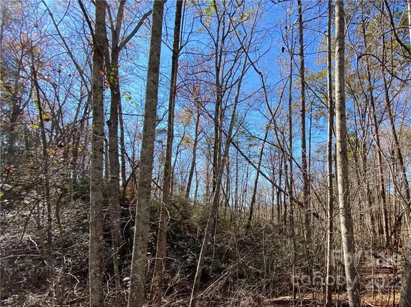 275 Shannons Walk, Lake Lure, NC 28746