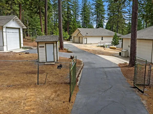 19310 Pine Dr, Pioneer, CA 95666