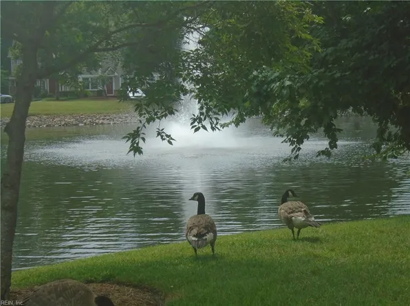 332 Wimbledon Chase APT D, Chesapeake, VA 23320