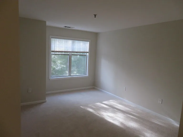 5565 Seminary Rd #208 — Photo 44