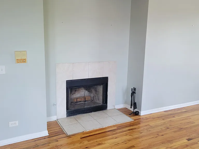 1339 N Damen Ave #2S — Photo 5