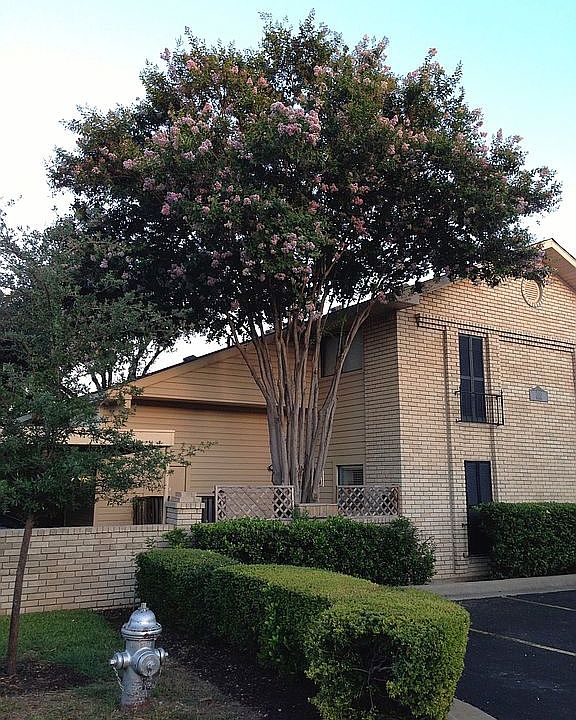 1st image of 8400 Jamestown Dr APT 202