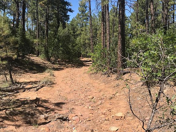 5th image of 1710 S Sierra Pines Cir