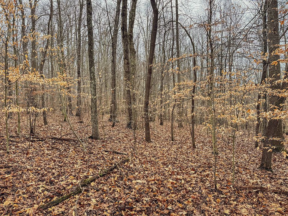 0 Spruce Fork Rd Buckhannon WV Zillow