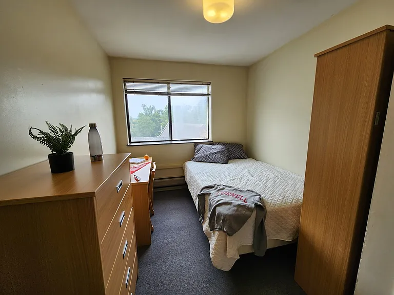 Collegetown Court, 208 Dryden Road — Photo 88