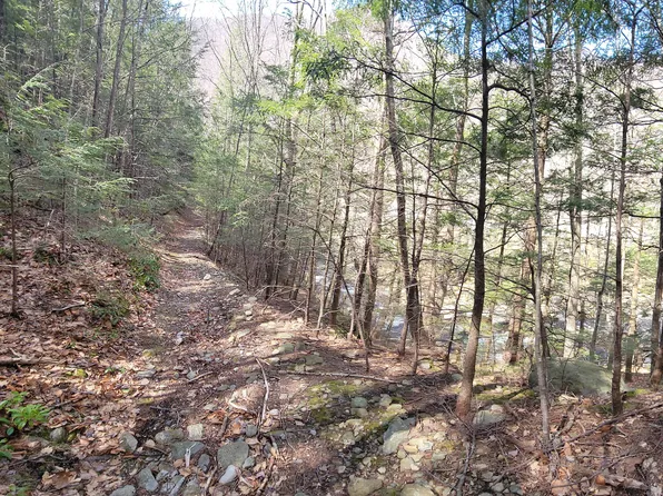 Rowe Rd, Charlemont, MA 01339