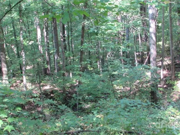 E Seventeen Red Wolf Run None, Mars Hill, NC 28754