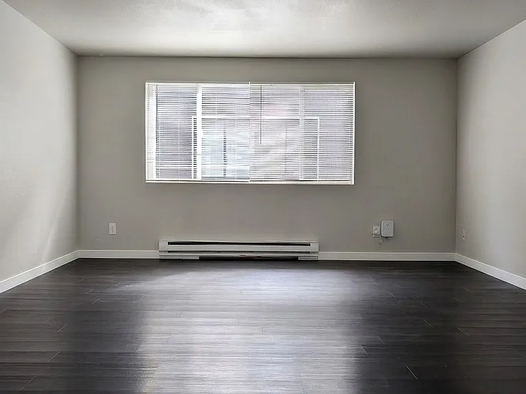 Large living room