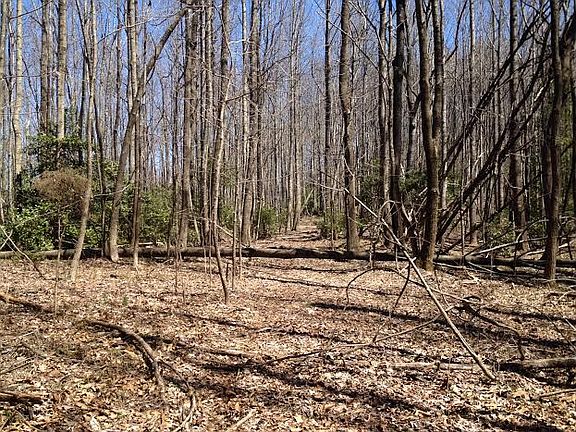 5th image of W Memorial Hwy