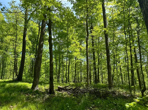 N 28th Ave, Merrill, WI 54452