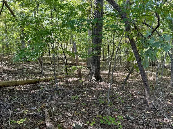 Lot411&412 Smith Rd, Spring City, TN 37381