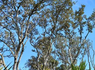 13 Sweetbay Dr, Palm Coast, FL 32137