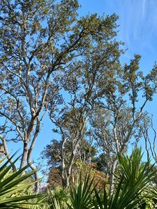 13 Sweetbay Dr, Palm Coast, FL, 32137