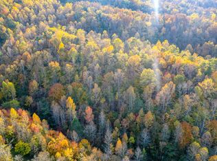 Chestnut Ridge Rd, WALLAND, TN 37886