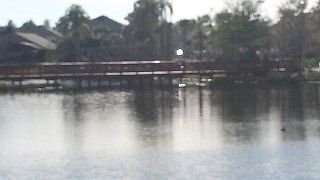 3rd image of 143 Pompano Beach Dr