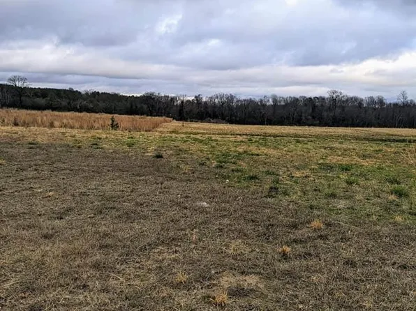 Main St N, Section, AL 35771