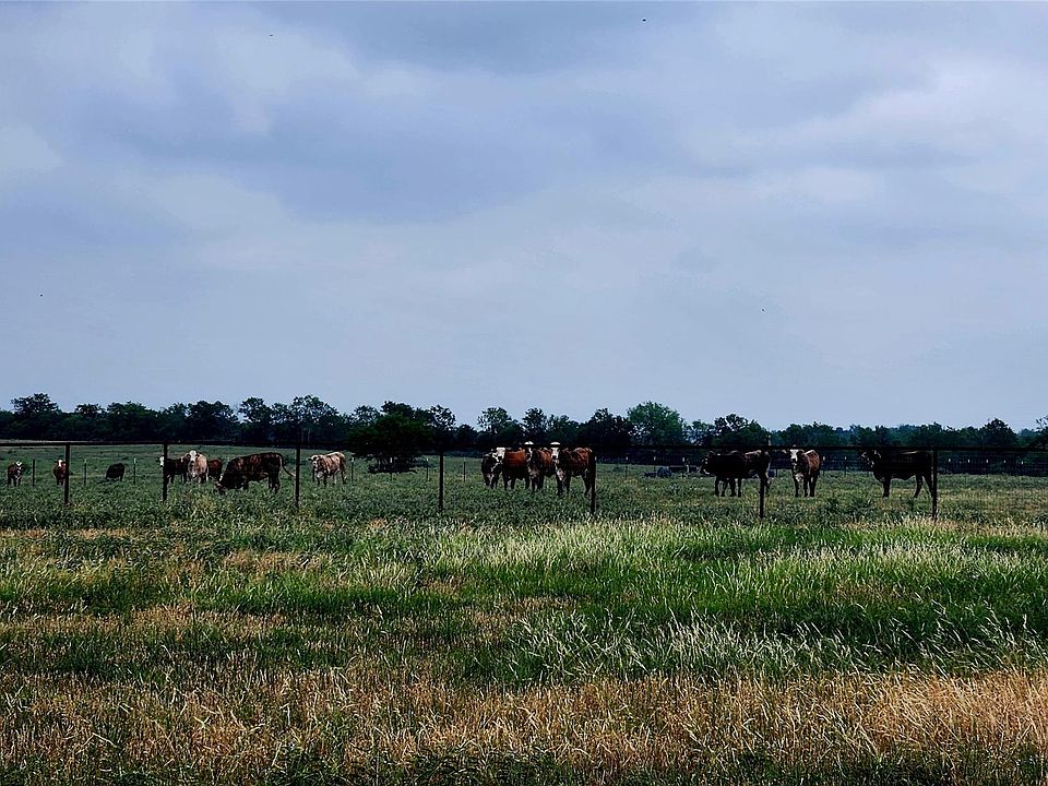 1st image of County Road 446