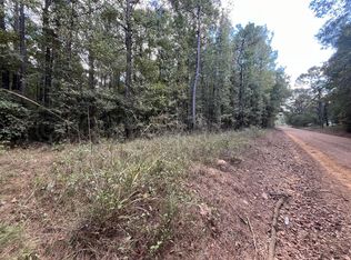 Longviewadaton, Starkville, MS 39759
