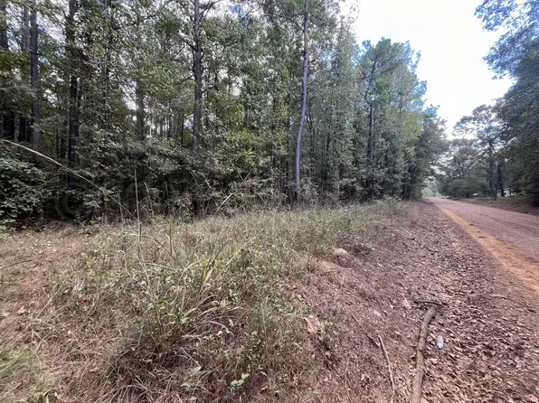 Longviewadaton, Starkville, MS 39759