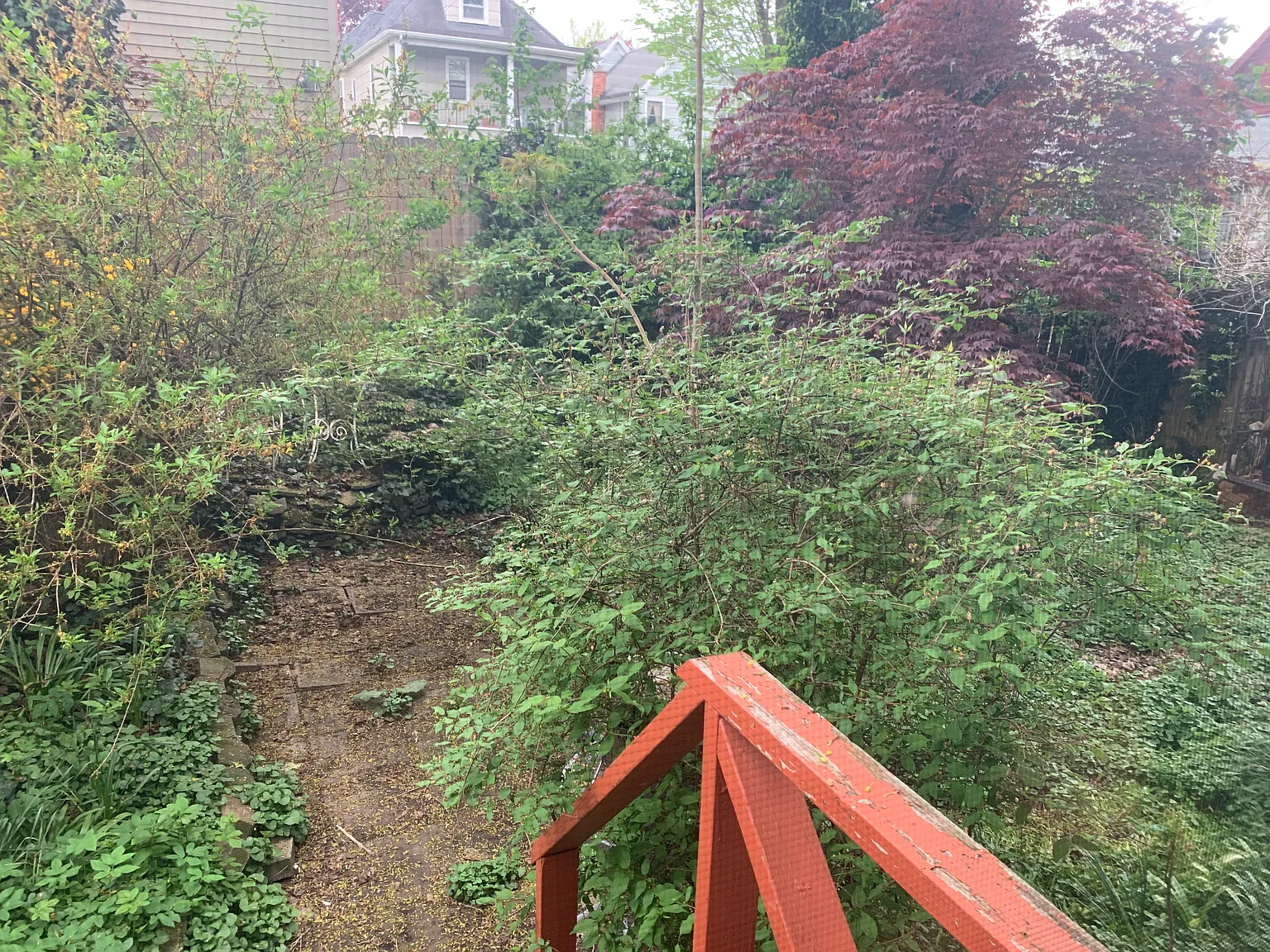 1 bed, 900 sqft, $1,350 — Photo 4